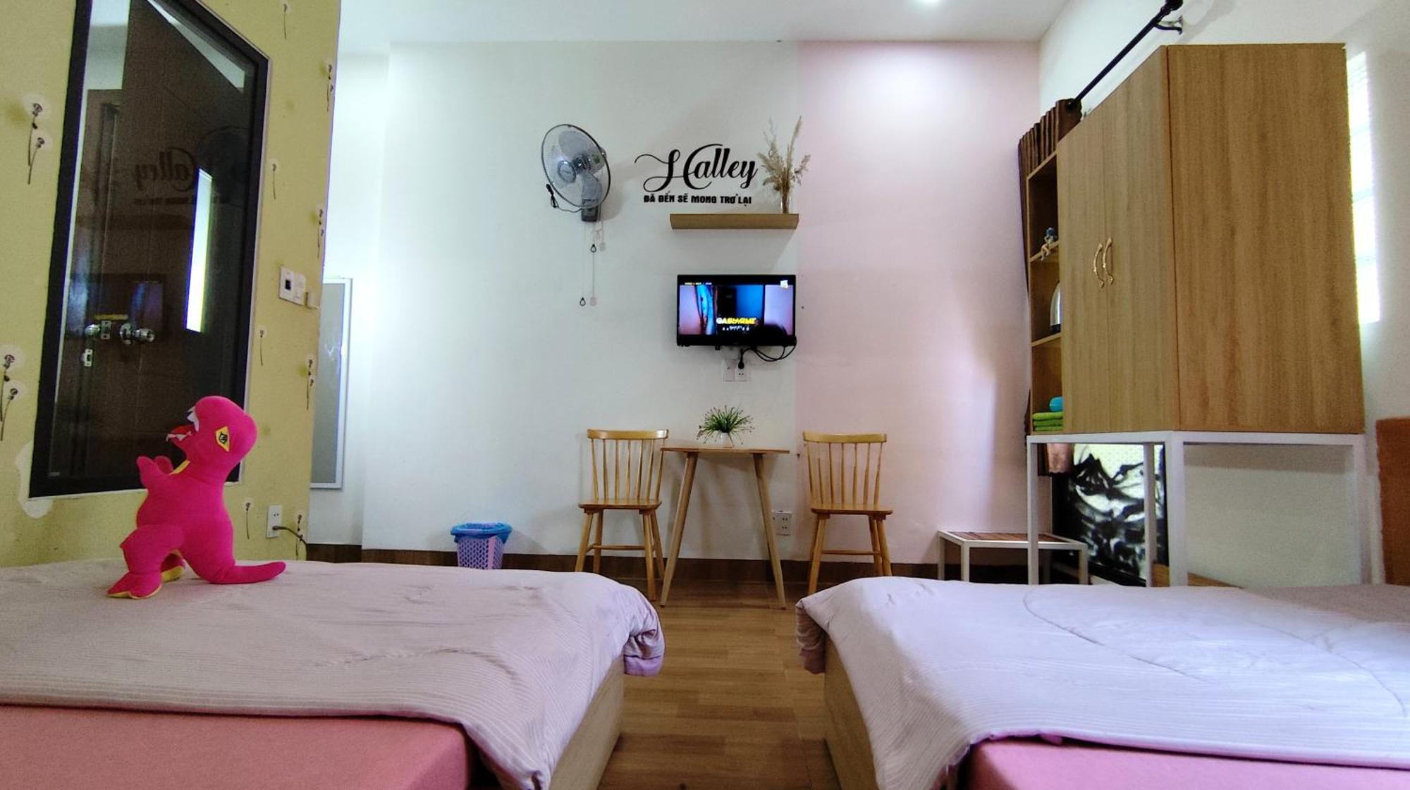 Homestay Halley Da Nang Exterior photo